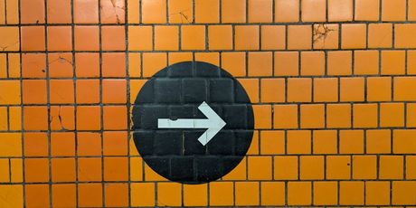 Kviz općeg znanja - 11