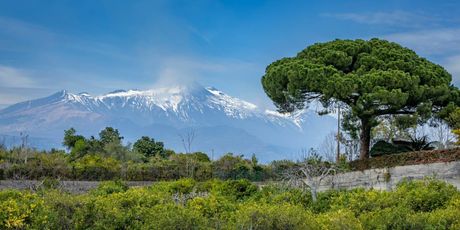 Kviz općeg znanja - 15