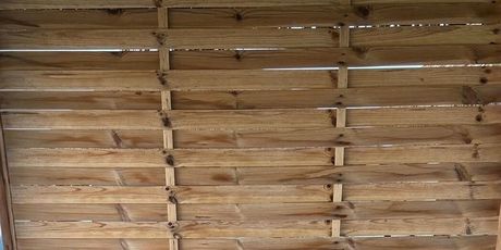 Halle Berry i Van Hunt - 4