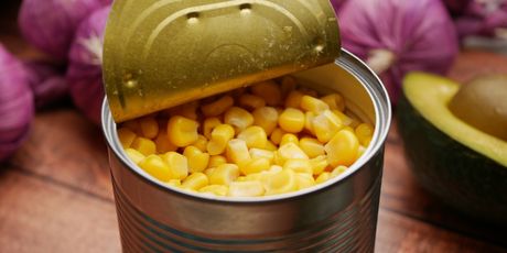 Konzervirani kukuruz