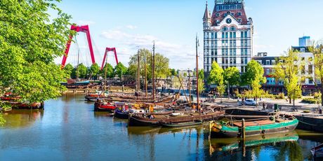 Nizozemska u proljeće - 1