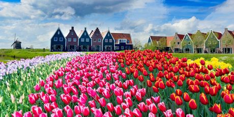 Nizozemska u proljeće - 3