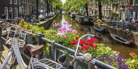 Nizozemska u proljeće - 4