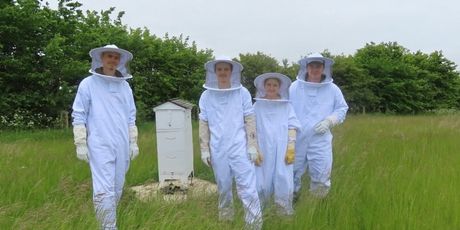 Brooklyn Beckham, Romeo Beckham, Cruz Beckham, Harper Beckham