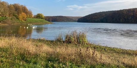 Kviz općeg znanja - 9