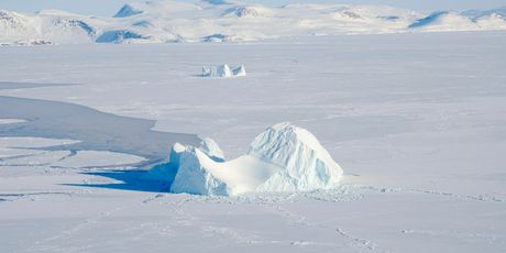 Kviz općeg znanja - 10