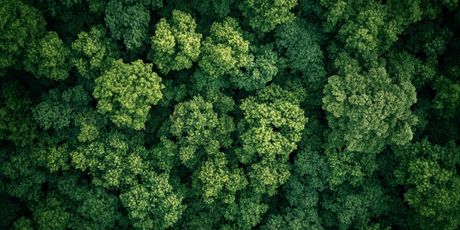 Kviz općeg znanja - 11