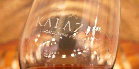 Izlet u Baranju - 31