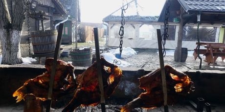 Izlet u Baranju - 32