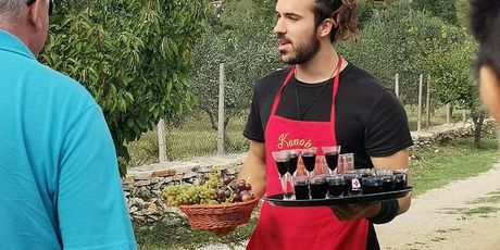 Stipe Šunić, Survivor - 2