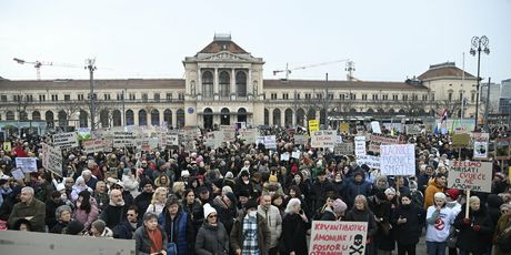 Prosvjed protiv gradnje velikih farmi i klaonica pilića u Sisačko-moslavačkoj županiji - 1