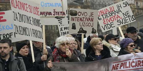 Prosvjed protiv gradnje velikih farmi i klaonica pilića u Sisačko-moslavačkoj županiji - 3