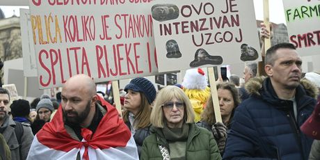 Prosvjed protiv gradnje velikih farmi i klaonica pilića u Sisačko-moslavačkoj županiji - 5