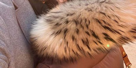 Boris Rogoznica na Instagramu