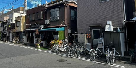 Staša Aras: Tamo, tamo... - 13