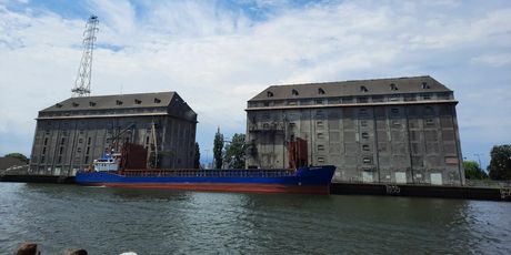 Staša Aras: Tamo, tamo... - 14