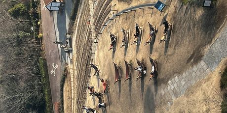 Staša Aras: Tamo, tamo... - 16