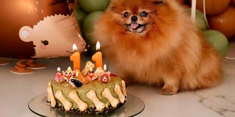 Marko Grubnić na Instagramu - 1