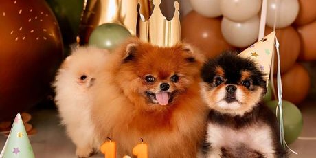 Marko Grubnić na Instagramu - 2