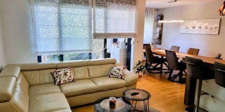 Luksuzan stan - pogled na Branimirovu - 6