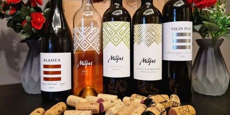 Radionice u diWine studiju - 4