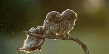 Savršen tajming - 25