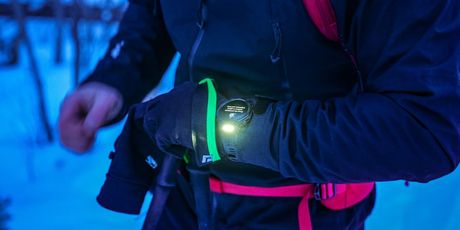 Muskox Expedition - 15