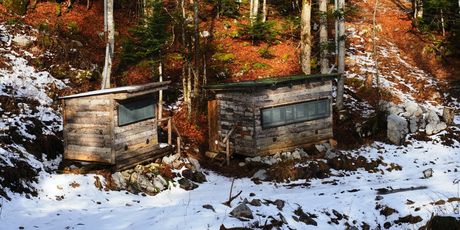 CroMedo, fotolov na medvjede i druge divlje životinje u Gorskom kotaru - 11