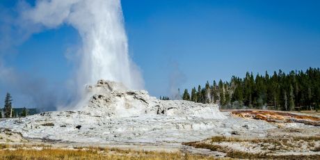 Yellowstone - 11