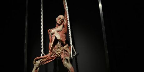 Body Worlds Amsterdam - 7