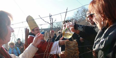 Vincekovo u Međimurju - 2