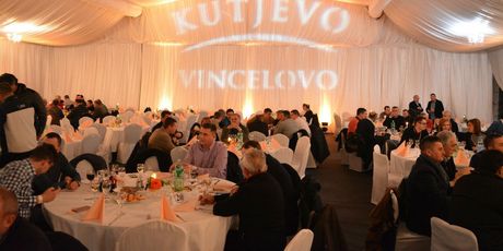 Kutjevačko Vincelovo - 2