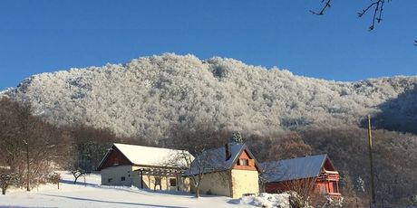 Kalnik_Airbnb - 3