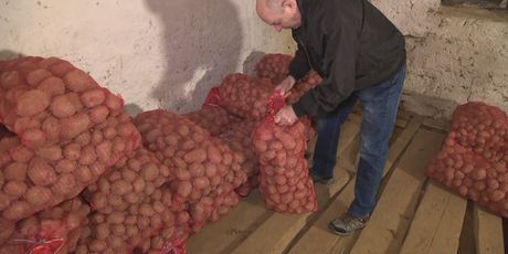Lički krumpir sve traženiji (Foto: Dnevnik.hr) - 1