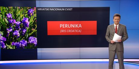 Zanimljivosti o Hrvatskoj (Foto: Dnevnik.hr) - 3