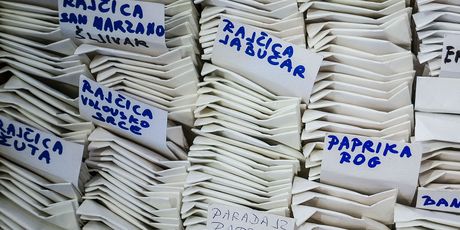 Razmjena sjemenja