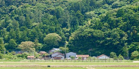 Okinoshima - 4