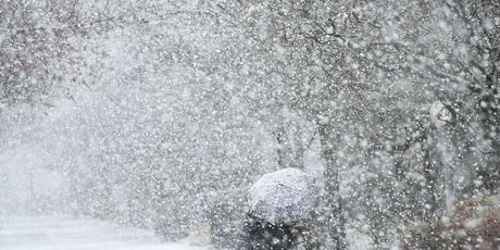 Snijeg u Njemačkoj (Foto: AFP)