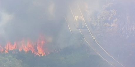 Požar u nacionanom parku kod Sydenya (Screenshot APTN)