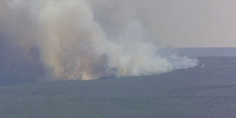 Požar u nacionanom parku kod Sydenya (Screenshot APTN)