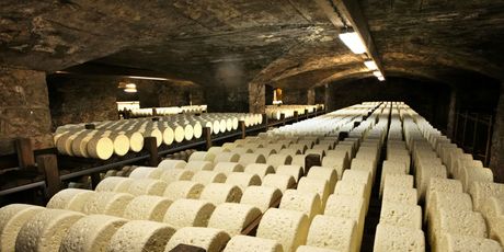 Roquefort - 1