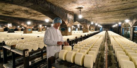 Roquefort - 2