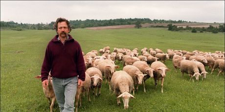 Roquefort - 2