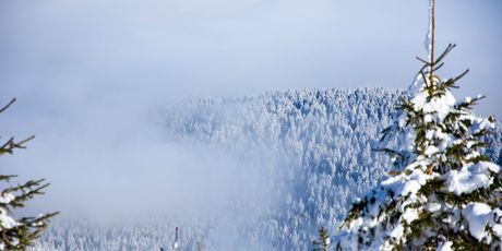 Jahorina - 3