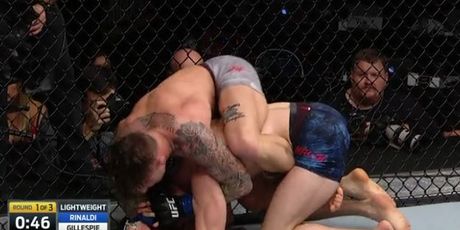 Gillespie omotao Rinaldia