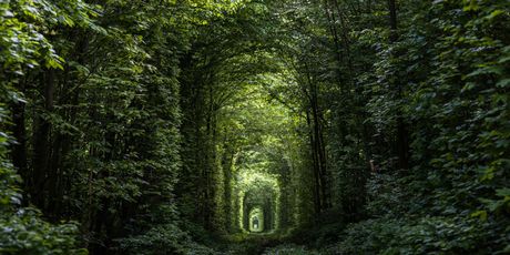 Tunel ljubavi - 2
