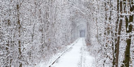 Tunel ljubavi - 3