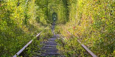 Tunel ljubavi - 5