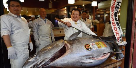 Vlasnik lanca restorana tunu je kupio na aukciji na novoj tokijskoj tržnici (Foto: AFP) - 1