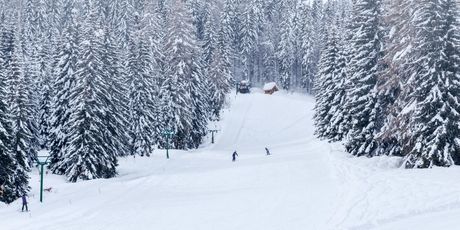 Bohinj - 1